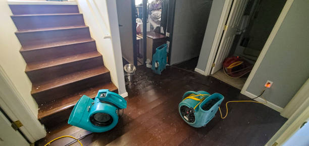 Best Water damage cleanup near me  in Weedpatch, CA