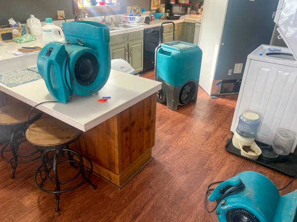 Best Local water damage restoration  in Weedpatch, CA