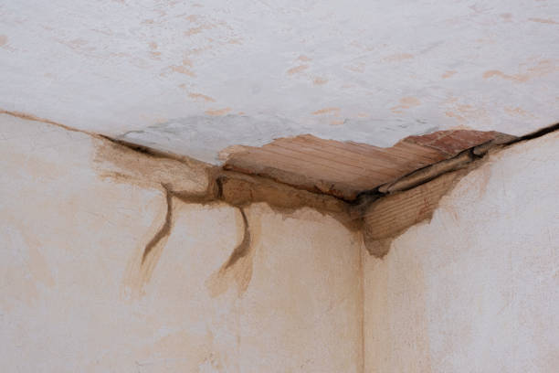 Best Sewage cleanup and water damage restoration  in Weedpatch, CA