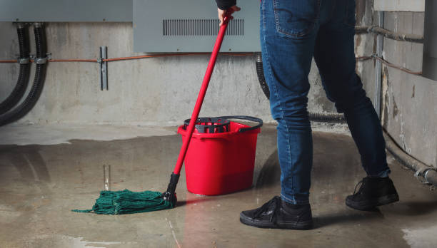 Best Flood damage cleanup  in Weedpatch, CA