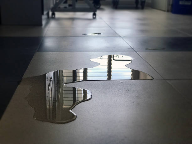 Best Carpet water damage restoration  in Weedpatch, CA