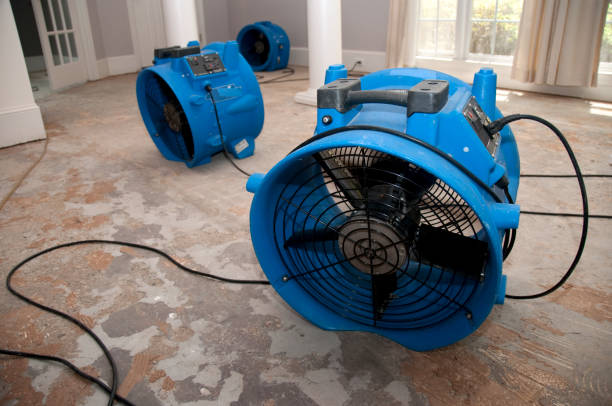 Best Mold removal after water damage  in Weedpatch, CA