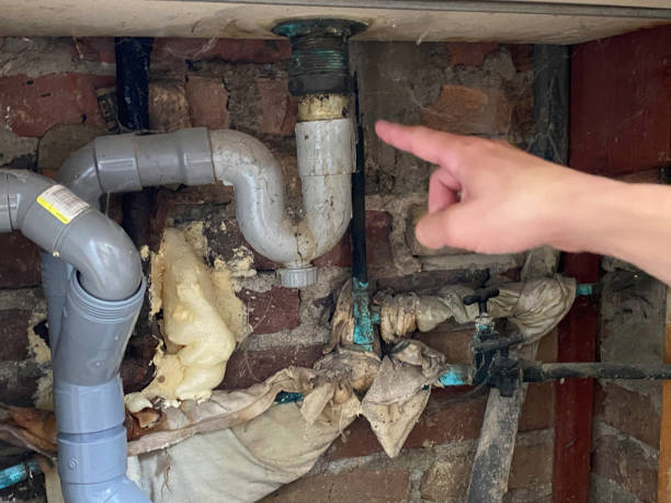 Best Professional water damage repair  in Weedpatch, CA