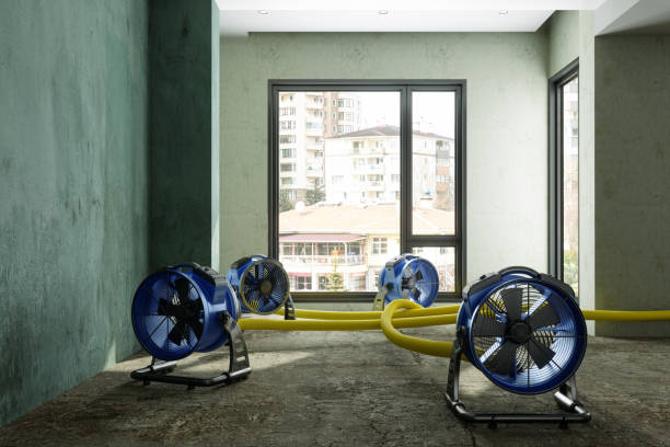 Best Fire Damage Restoration  in Weedpatch, CA