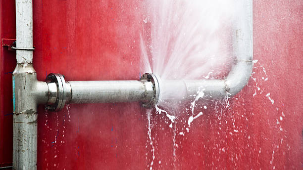 Best Water damage contractors near me  in Weedpatch, CA